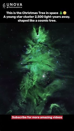 The Christmas tree in Space 😳🎄