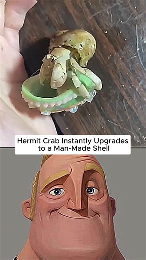 The Fastest Shell Swap You'll Ever See!