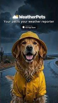 Your pup turns drizzle into delight