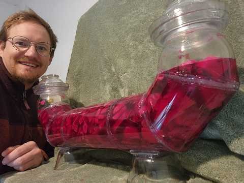 Continuous Feed Jar For Infinite Pickles?