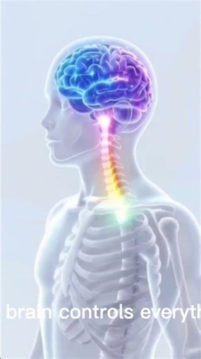 “Do you know how your brain works? 🧠 Let’s learn! #kidsscience #learningisfun #funfacts #science
