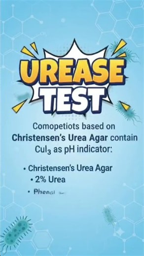 Unlocking Micro Secrets: The Quick Urease Test Guide