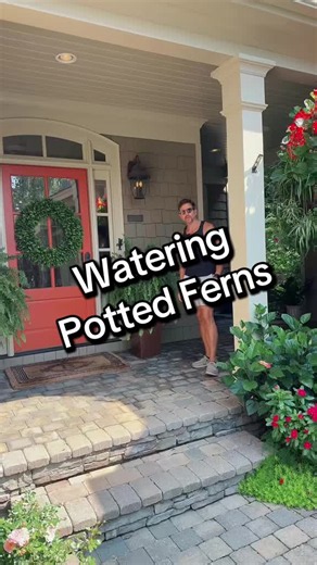 Worth a replay. Last September. #artfulrodger #fern #wateringferns #gardening #gardens