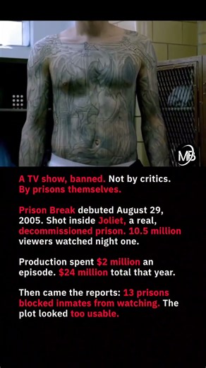 Why Some Prisons Banned Prison Break 😳🔒