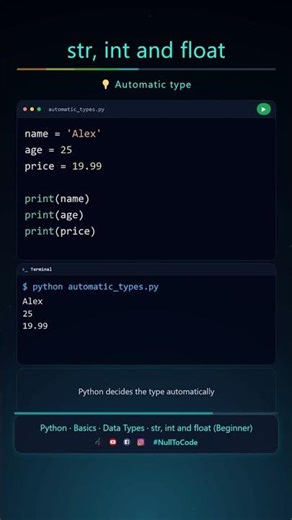 pyb 01 04 01 basics data types understand text and numbers