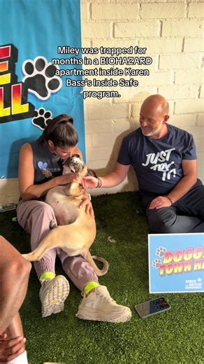 Miley was trapped inside an apartment for months. No walks. No sunlight. No love. When she was finally found, she had been severely neglected and was covered in feces and urine. Thanks to the amazing rescuers @Joey Tuccio and @Starts With One Today, Miley was saved. ❤️🐶 Now she deserves something she’s been denied for far too long: a loving home. If you’ve ever thought about fostering or adopting a dog, Miley might be the perfect dog for you! Visit my website (link in bio), click “Clear the She