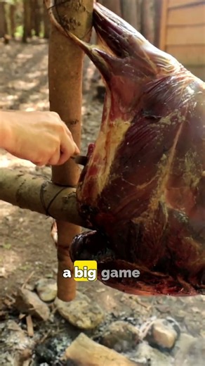 Spit roasting an entire deer!