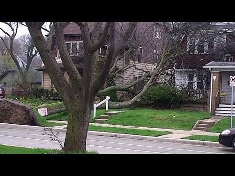 Fallen tree lands between 2 Milwaukee homes | FOX6 News Milwaukee