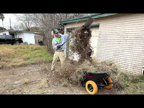 The neighbors WARNED ME but what I found was WAY WORSE