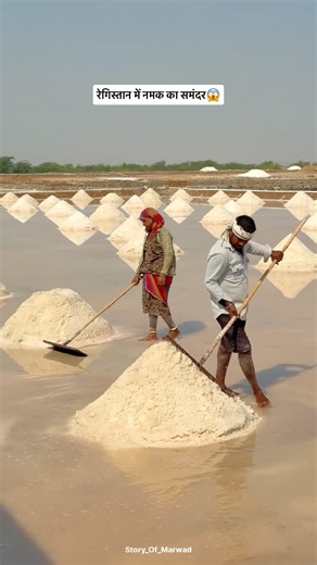 रेगिस्तान में नमक का समंदर 😍#shorts #dessert #sambhar #salt #work #family #sambhaake