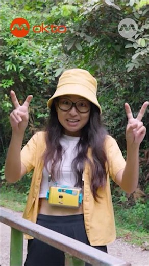 Meet a Real Flying Dragon! 🦎🪁✨ | Wildlife Snap Shorts