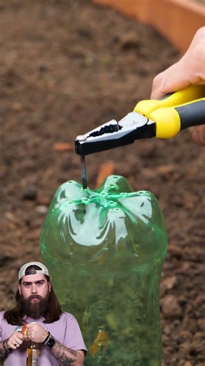 Transform Your Backyard: Fun & Easy Garden Hacks for 2025! 🌼✨