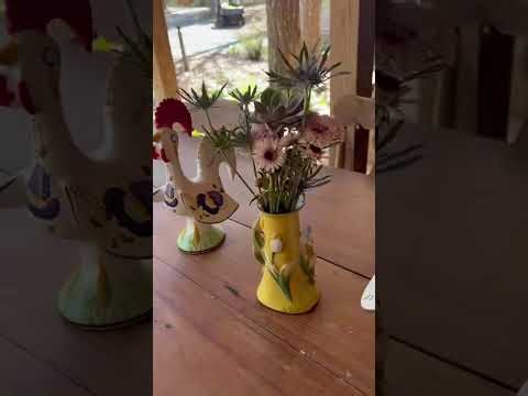 Peacocks and Chickens Walking is so good for us Cooking With Brenda Gantt