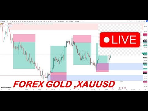 GOLD Live Forex Signals 24/7 | Best Forex Trading Intraday Strategies