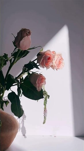 How Solar Eclipses Actually Happen — And Why Shadows Can Look Weird #shorts