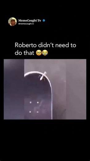CheaterCought TV on Instagram: "Robertoooooooooooo 😭 The reel features a small praying mantis, which the creator has named Roberto, perched on the edge of a skateboard. The narrator speaks to the insect in a friendly tone, treating it like a companion, which sets up a lighthearted expectation for the viewer before the sudden twist. As the person filming attempts to perform a skateboarding trick (likely a kickflip or a simple pop), the board flips quickly, and the mantis is accidentally crushed 