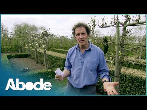 Spring Garden Makeover - Tips for Bulbs, Shrubs and Ornamental Veg