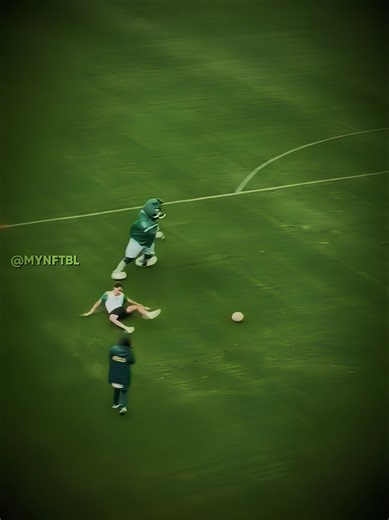 Other Mascots + This Mascot