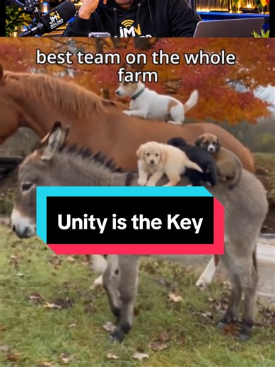 Be Kind to Everyone - Unity Is the Key