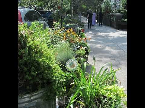 Competing to be the Greenest Block in Brooklyn