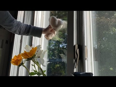 Best budget spring cleaning products put to the test