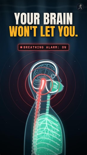 What If You Held Your Breath as Long as You Could?