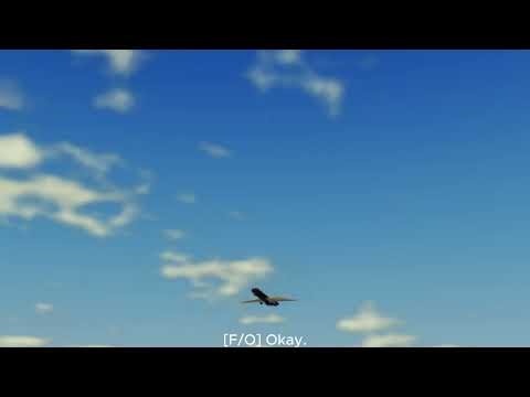 TrustUsAir flight 1900 CVR