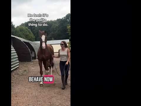 I know this was posted a long time ago but I wanted to share awareness