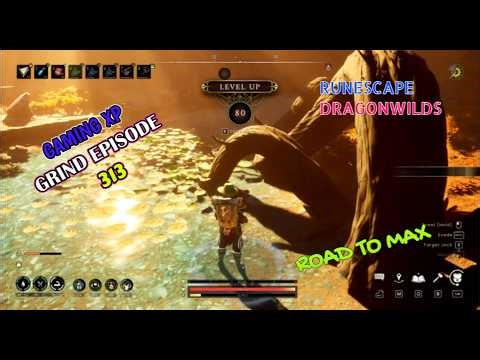 RuneScape Dragonwilds Road To Max - Gaming Gameplay XP Grind Episode 313