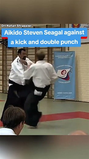 Aikido Steven Seagal against a punch real life Practical street Self defense @AhavatGordonOfficial