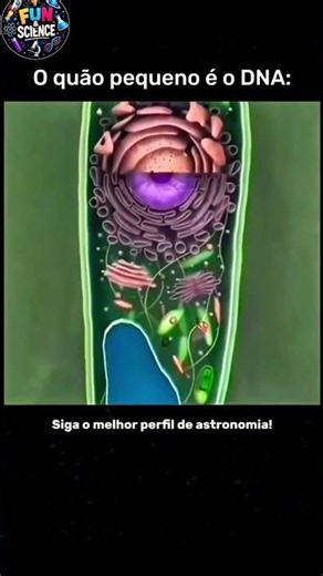 Inside the Leaf | Discover the Hidden World Within a Leaf 🌿
