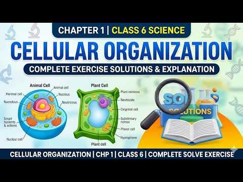Class 6 Science |Chapter 1: Cellular Organization | Full Exercise Solutions