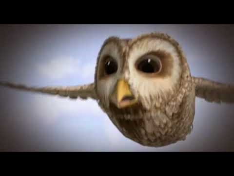 Peter Rabbit 2013 S01E10 The Tale of the Down Hill Escape The Tale of the Cat and the Rat