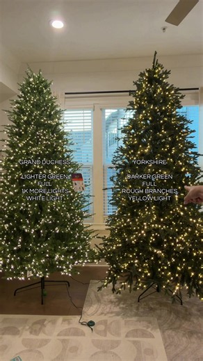 comparing the Grand Duchess and Yorkshire Christmas trees from Home Depot. I’d def vote Grand Duchess for the 1k more lights alone! 🎄 #christmastree #homedepot #grandduchess #yorkshire