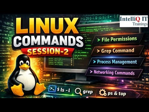 Linux Commands Session-2 | Basic Linux Commands for Beginners | Linux Tutorial | IntelliQ IT