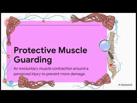 Primary Causes of Dudden Back Locking l Muscle Protection a STIFFNESS Lumbar Spine and Back Locks.