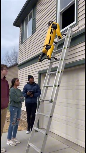 @cosmo.three on Instagram: "This Robot Wasn’t Supposed to Fall… Shocking cellphone footage shows engineering students testing a four-legged robotic dog during an outdoor experiment at a suburban home. The video captures the moment the machine attempts to climb a metal ladder leading to a second-story window as part of a mobility and balance test. After carefully reaching the top rung and pausing briefly, the robot suddenly loses stability and falls backward, crashing to the ground below. The cam