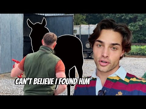 I Went to Ireland to Find My Next Hunting Horse… and Found One 🇮🇪