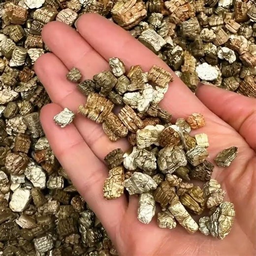 Vermiculite for Hydroponics | Best for Seedlings & Moisture Retention | Radongrow #hydroponics