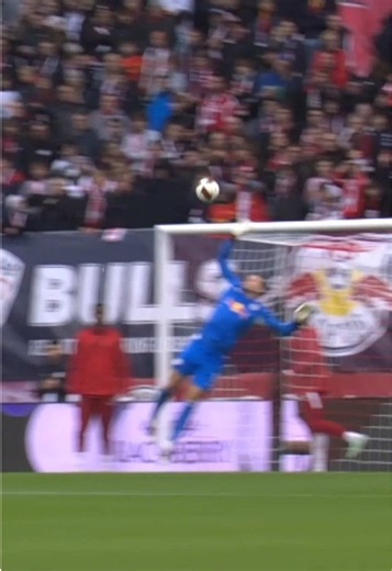 Nyland shuts the door 🫷🇳🇴 #Bundesliga #fussball #rb #sve #Matchday7 | Fotball