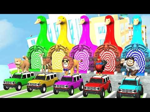 Nonstop Color Test | Focus, Speed & Accuracy Challenge