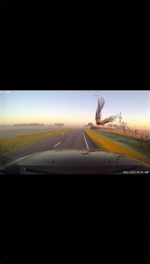 TERRIFYING FLOCK OF BIRDS EXPLODES INTO WINDSHIELD (sora2)