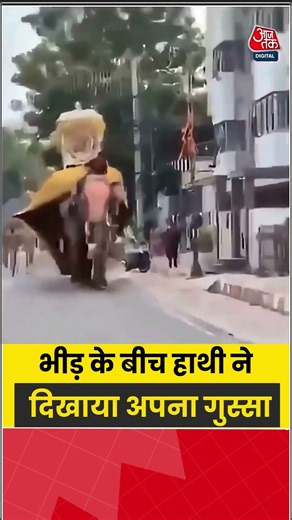Viral Video: भीड़ के बीच हाथी ने दिखाया अपना गुस्सा #elephant #shorts #viral #viral