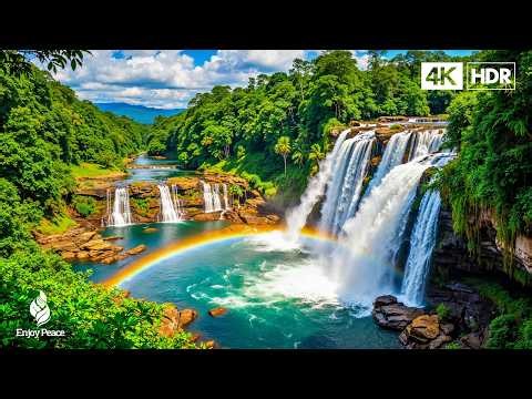 Restore your nervous system 🌿 Stop overthinking, music to relieve stress