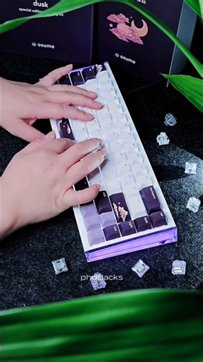 These Keyboard Switches Look EXPENSIVE… and Sound Even Better