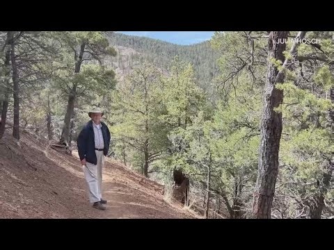 Teams continue search for missing SMU law professor