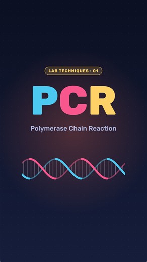 PCR: probably the most famous lab technique in the world 🧬