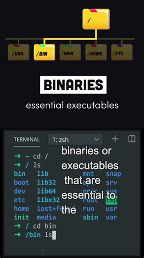 Linux Directories Explained (Part 1)| Beginner Linux Tutorial 2026 #computerscience #linux #coding