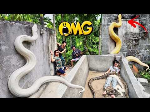 Brave Experts Risk Their Lives to Rescue Girl from Giant White Python in Abandoned House