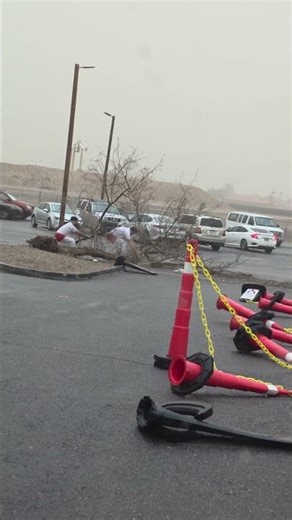In-N-Out Employees Battle Dust Storm to Clear Drive-thru Tree